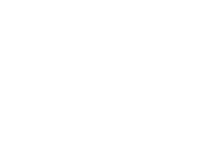Pigeotick